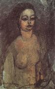 Amedeo Modigliani Jeune fille nue (mk38) oil on canvas